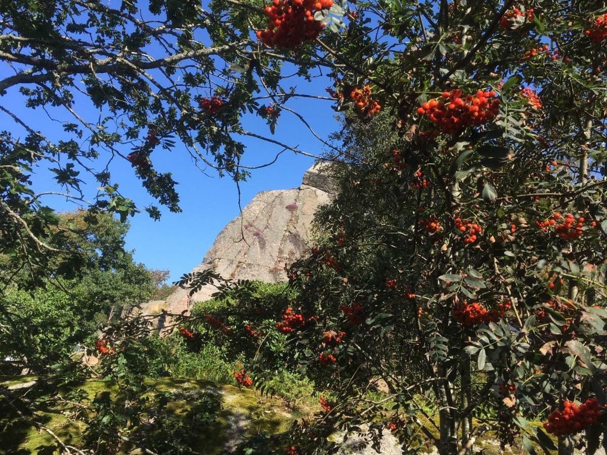 Stuga I Naturskoent Omrade Pa Vaestra Tjoern Saby المظهر الخارجي الصورة